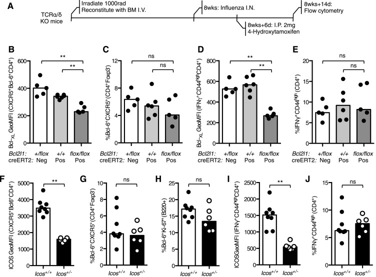 Figure 4—figure supplement 1.