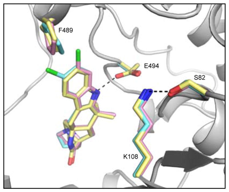 Figure 5