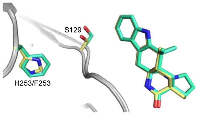 Figure 10