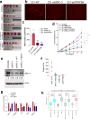 Extended Data Figure 9