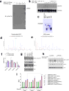 Extended Data Figure 6