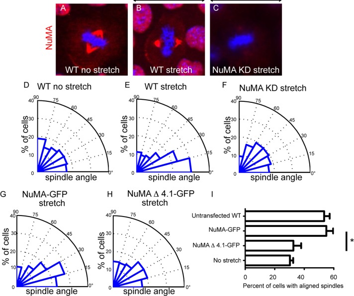 FIGURE 4: