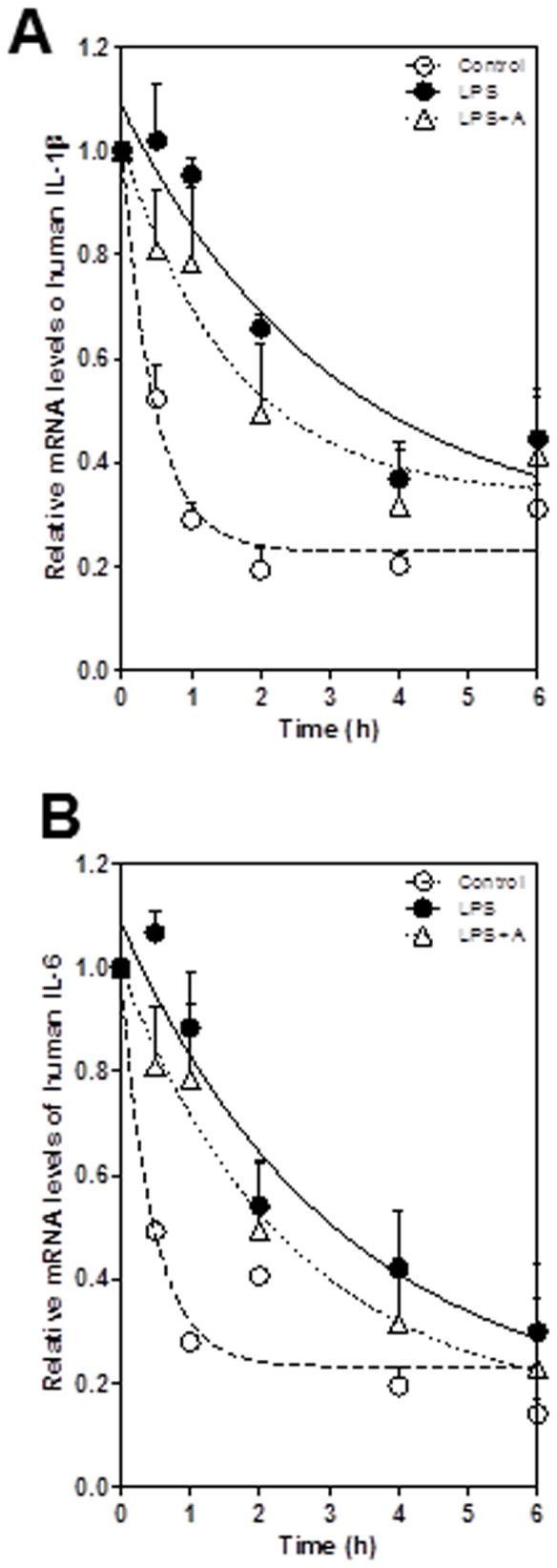 Figure 13