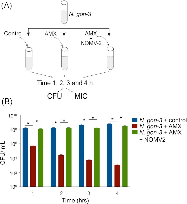 Figure 4.