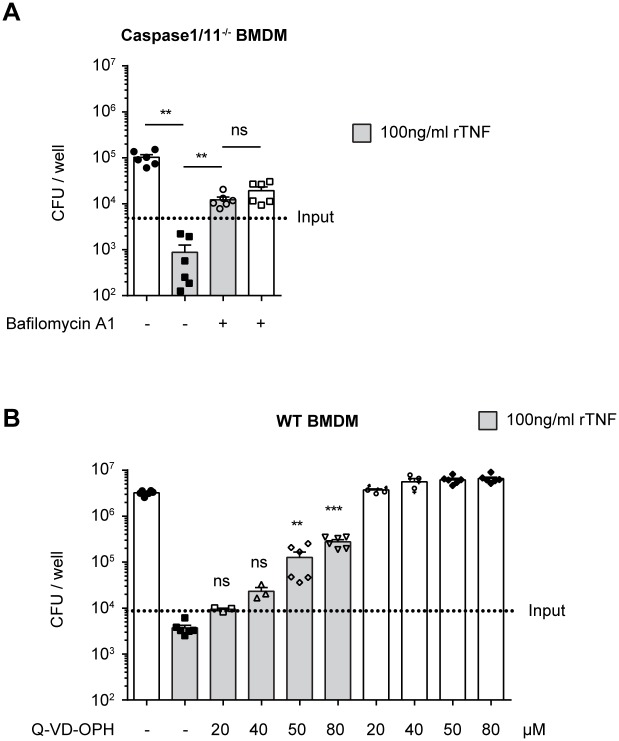 Fig 7