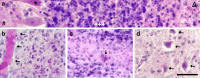 Fig. 9
