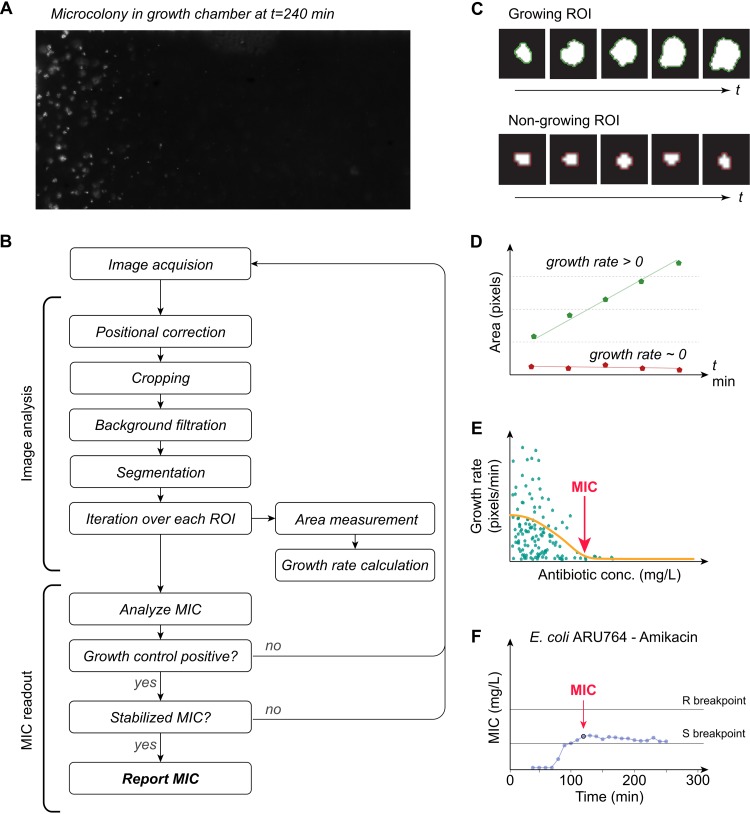 FIG 3