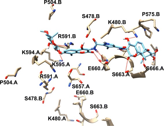 Fig. 3