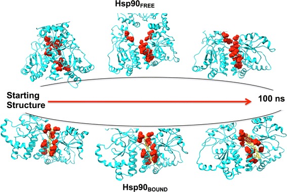 Fig. 11