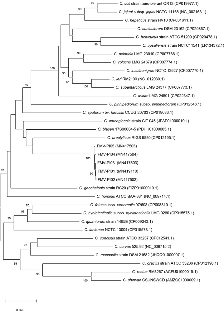 Fig 3