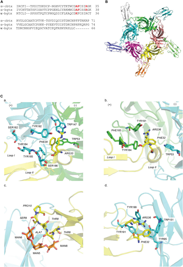 FIGURE 4