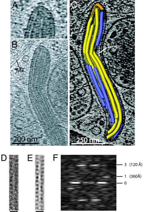 Fig. 3.