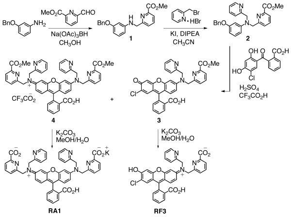 Scheme 1