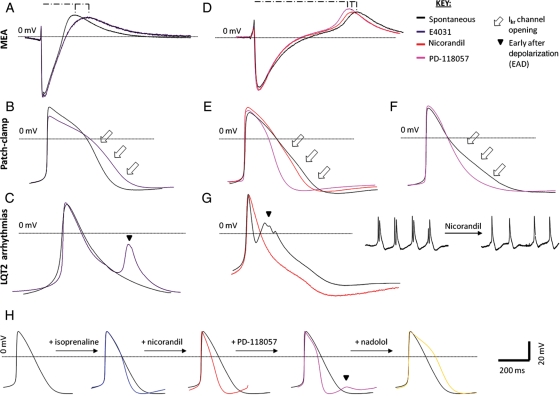 Figure 6