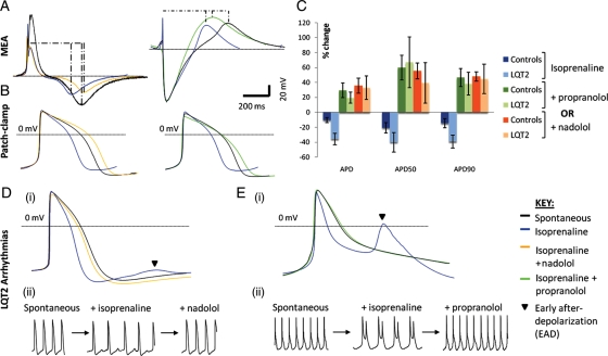 Figure 5