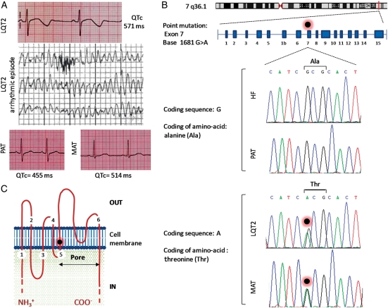 Figure 1