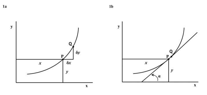 Figure 1(a).