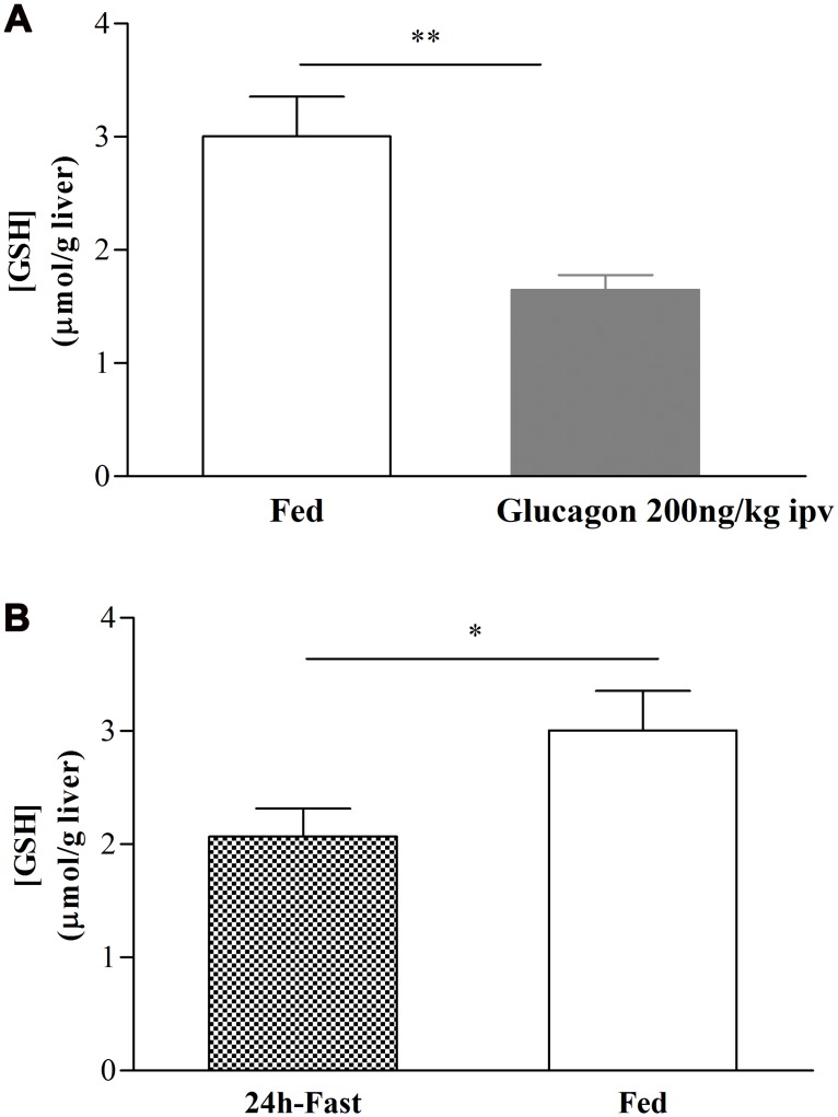 Fig 5