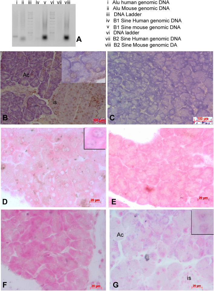 Fig. 6