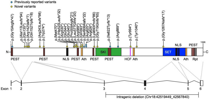 Fig. 1