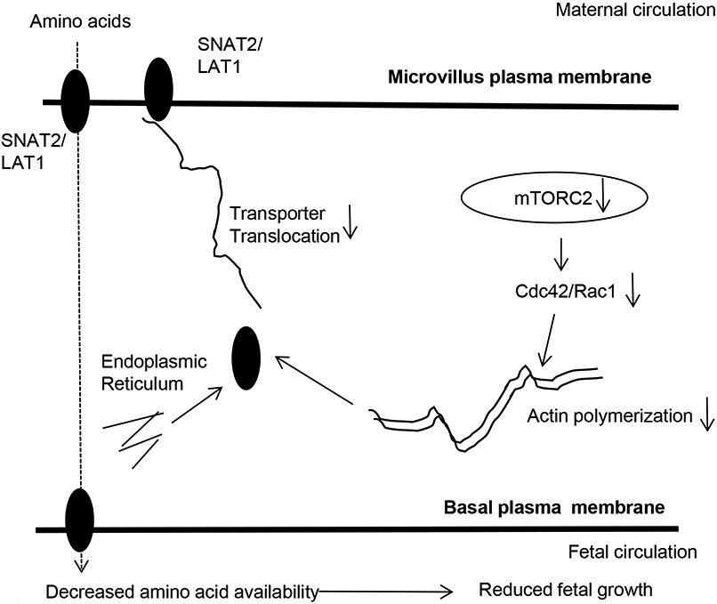 Figure 9.