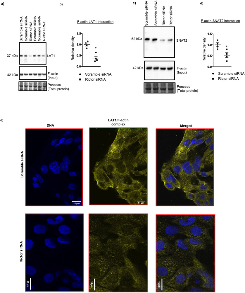 Figure 6: