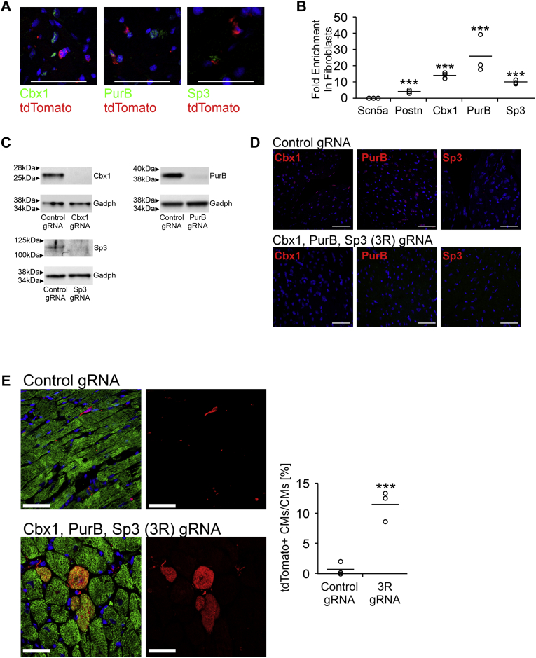 Figure 3