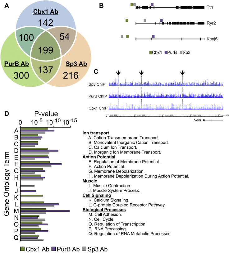 Figure 4