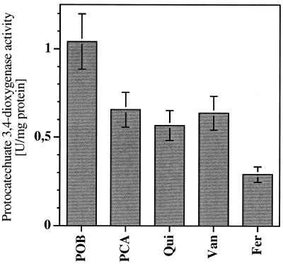 FIG. 5