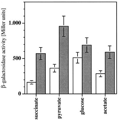 FIG. 7