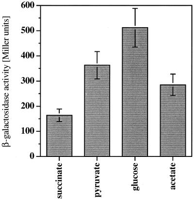 FIG. 6