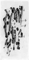 156-1