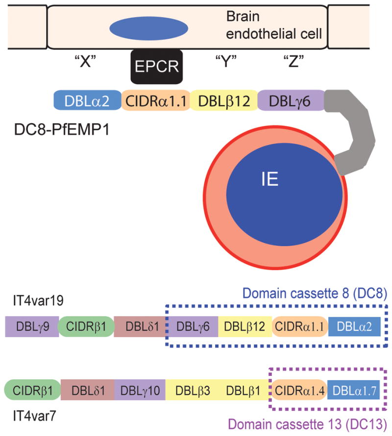 Fig 3