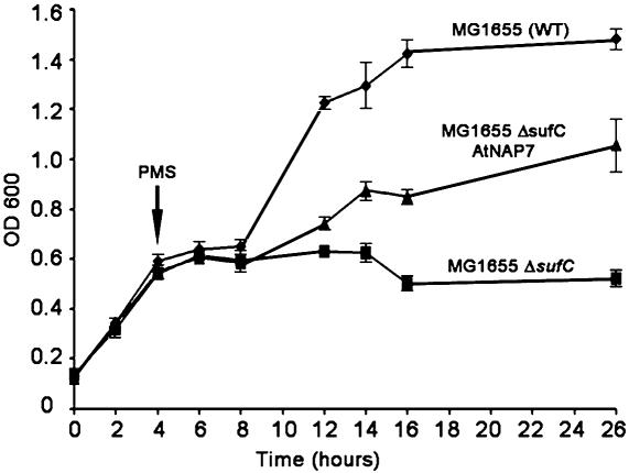 Fig. 5.