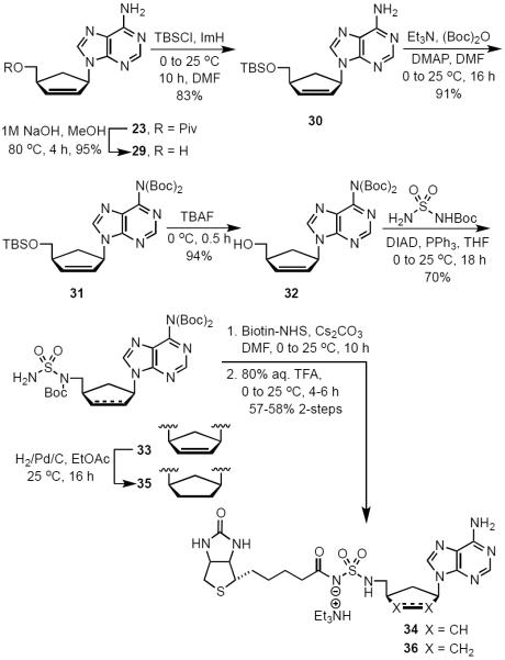 Scheme 2