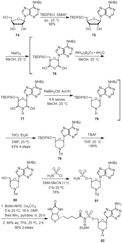 Scheme 6