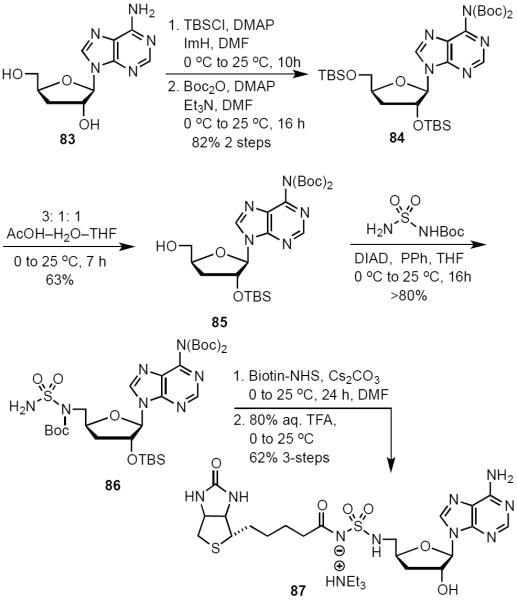 Scheme 7