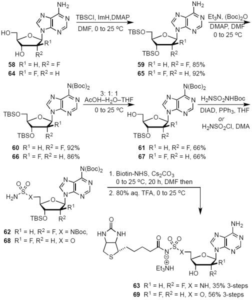 Scheme 4