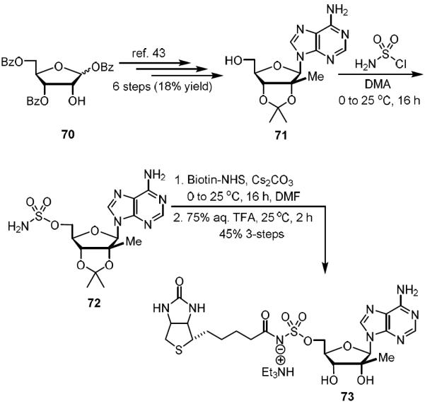 Scheme 5