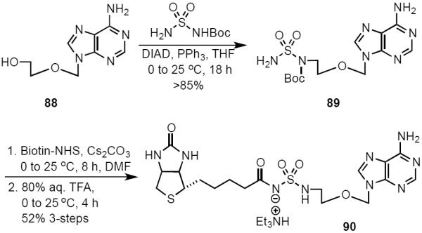 Scheme 8