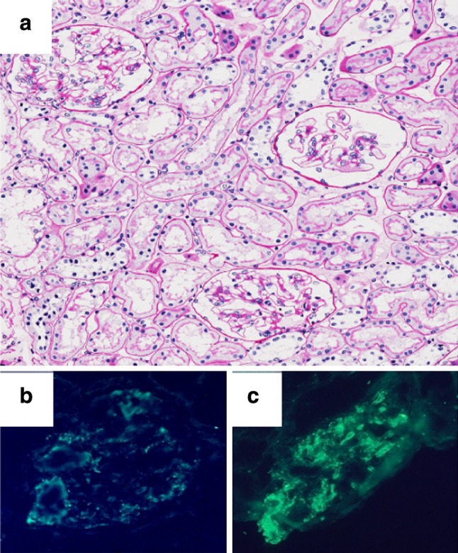 Fig. 1