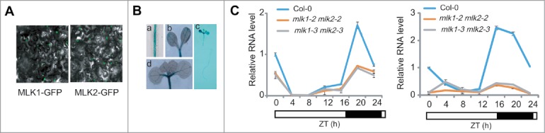 Figure 2.