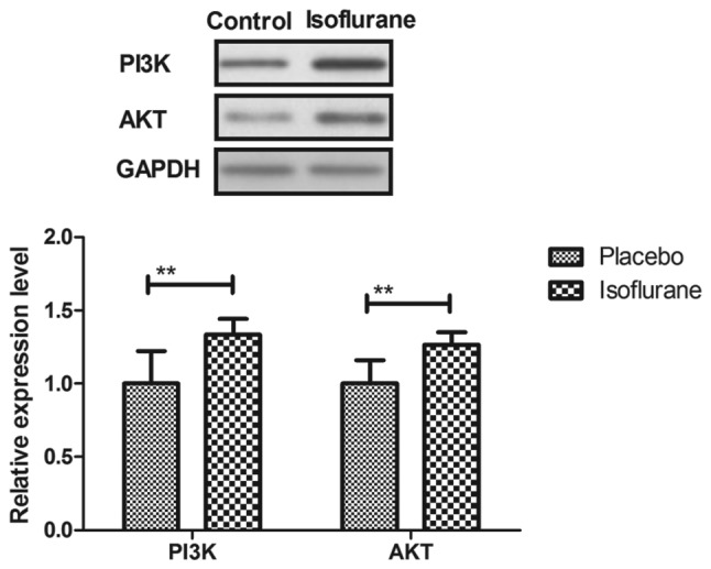 Figure 14.