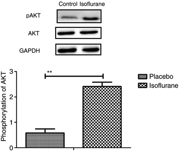 Figure 15.