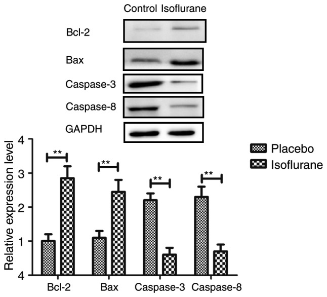 Figure 13.