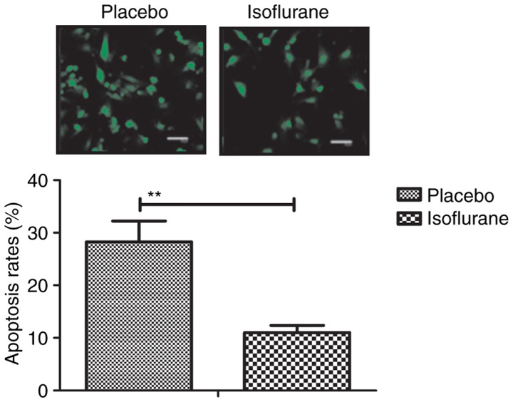 Figure 12.