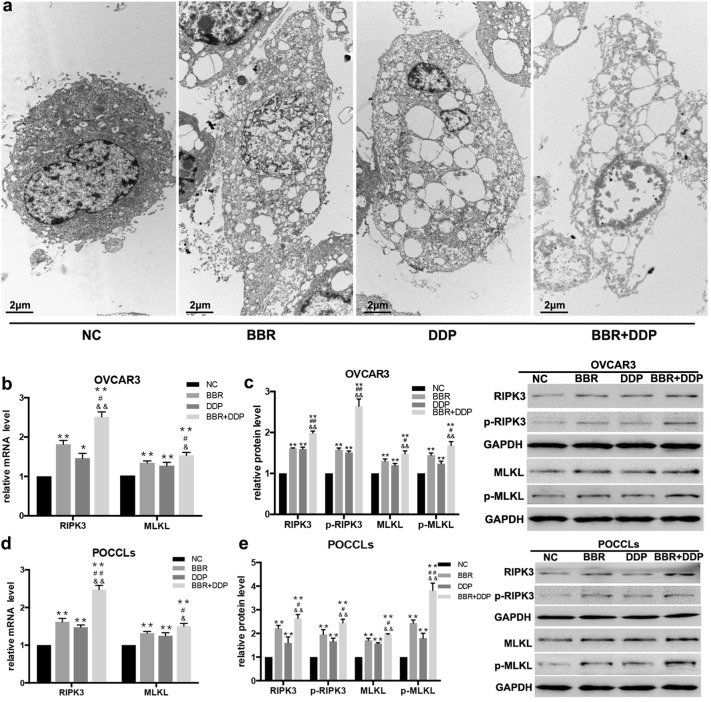 Fig. 6