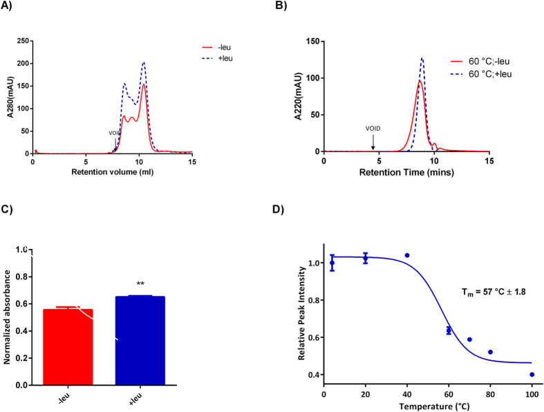 Modulation of LAT1 (SLC7A5) transporter activity and stability by ...