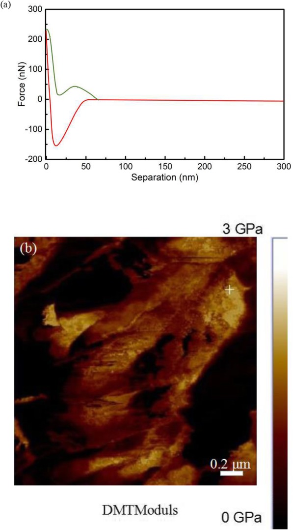 Fig. 9