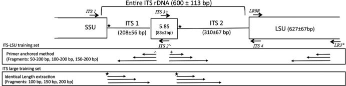 FIG 1